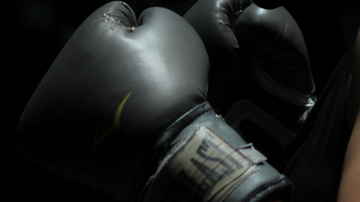 Boxing gloves