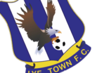 Lye Town hoping to reignite play-off hopes as they host Walsall Wood