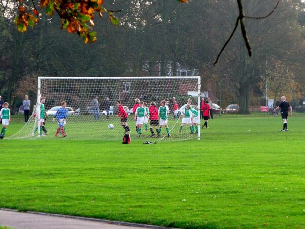 Solihull pitch fees rise 18%